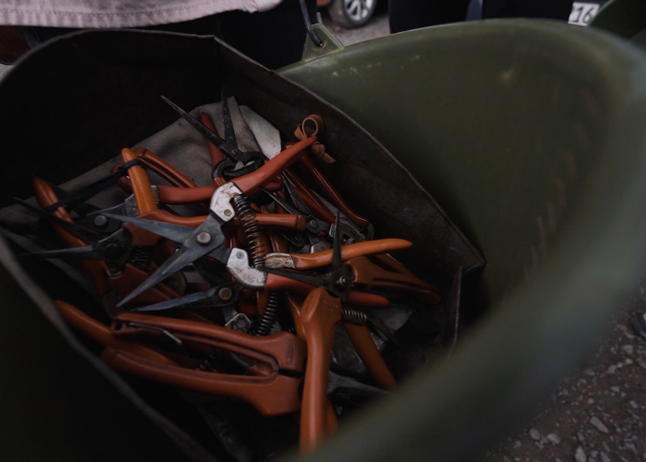 JUWEL Weine | Juliane Eller | Rheinhessen | Wincent Weiss Wein Weissburgunder