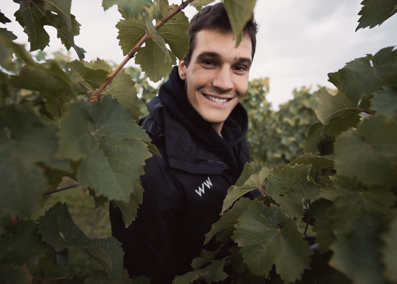 JUWEL Weine | Juliane Eller | Rheinhessen | Wincent Weiss Wein Weissburgunder
