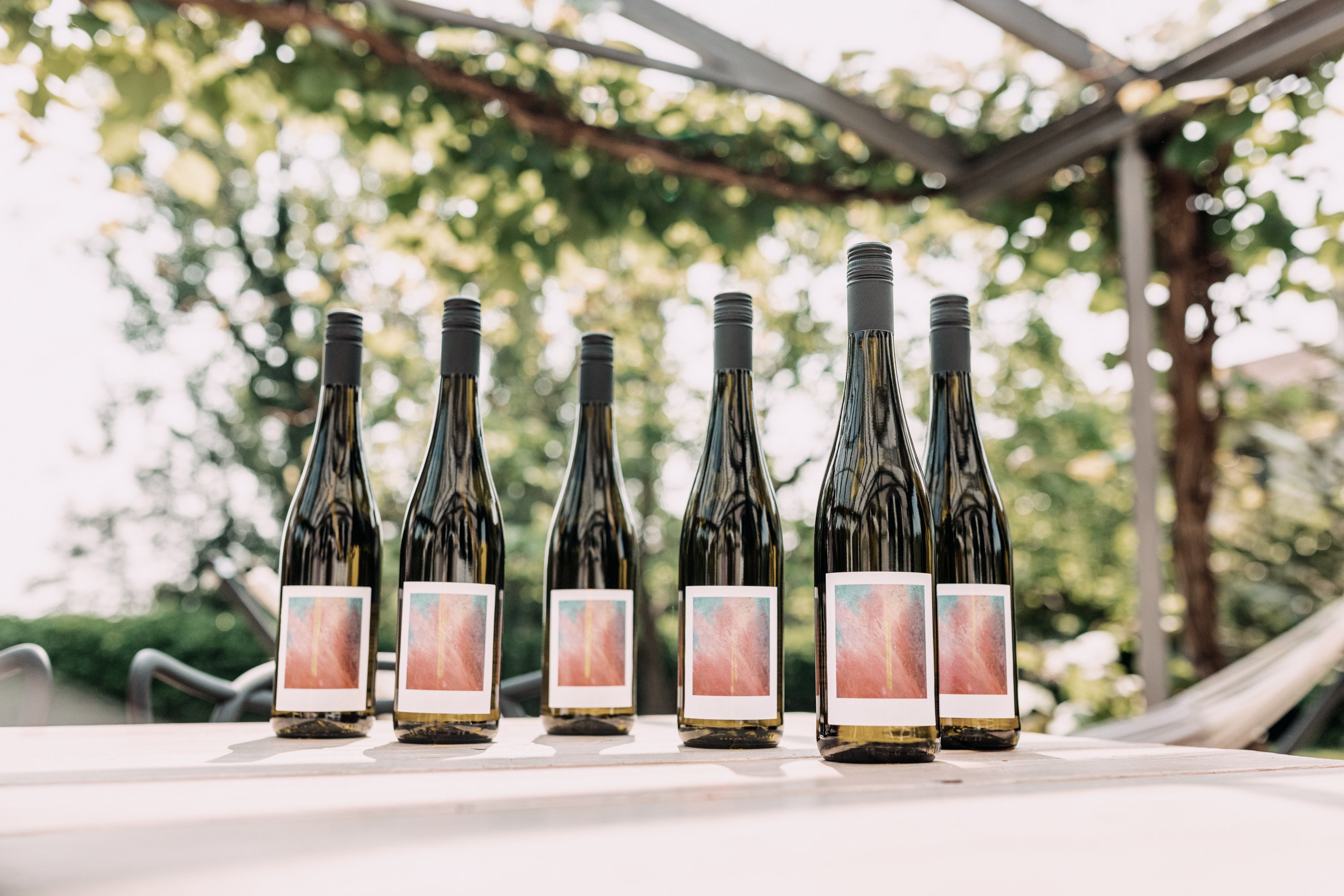 JUWEL Weine | Juliane Eller | Rheinhessen | Paul Schrader | Weissburgunder | Viva con Agua