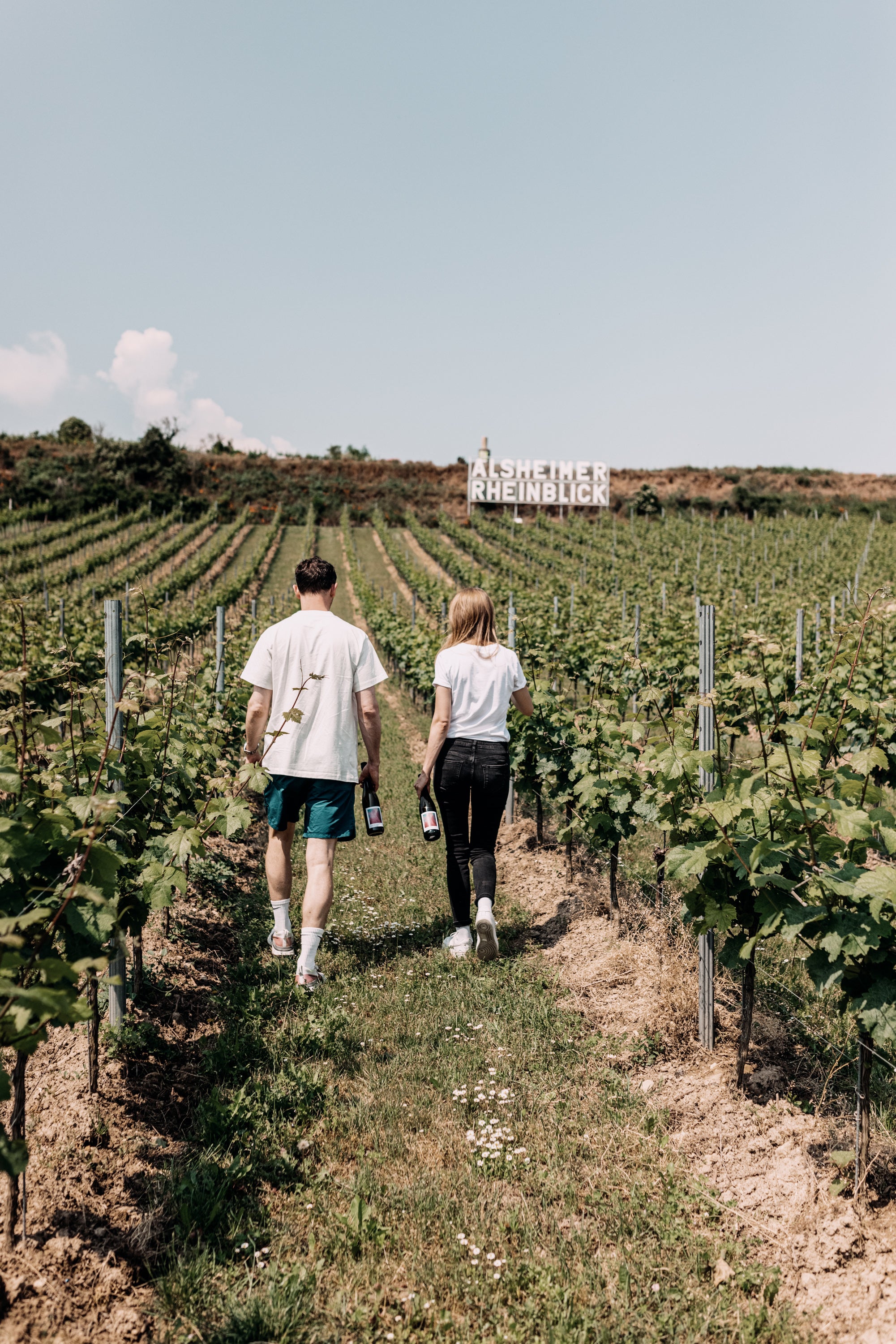 JUWEL Weine | Juliane Eller | Rheinhessen | Paul Schrader | Weissburgunder | Viva con Agua