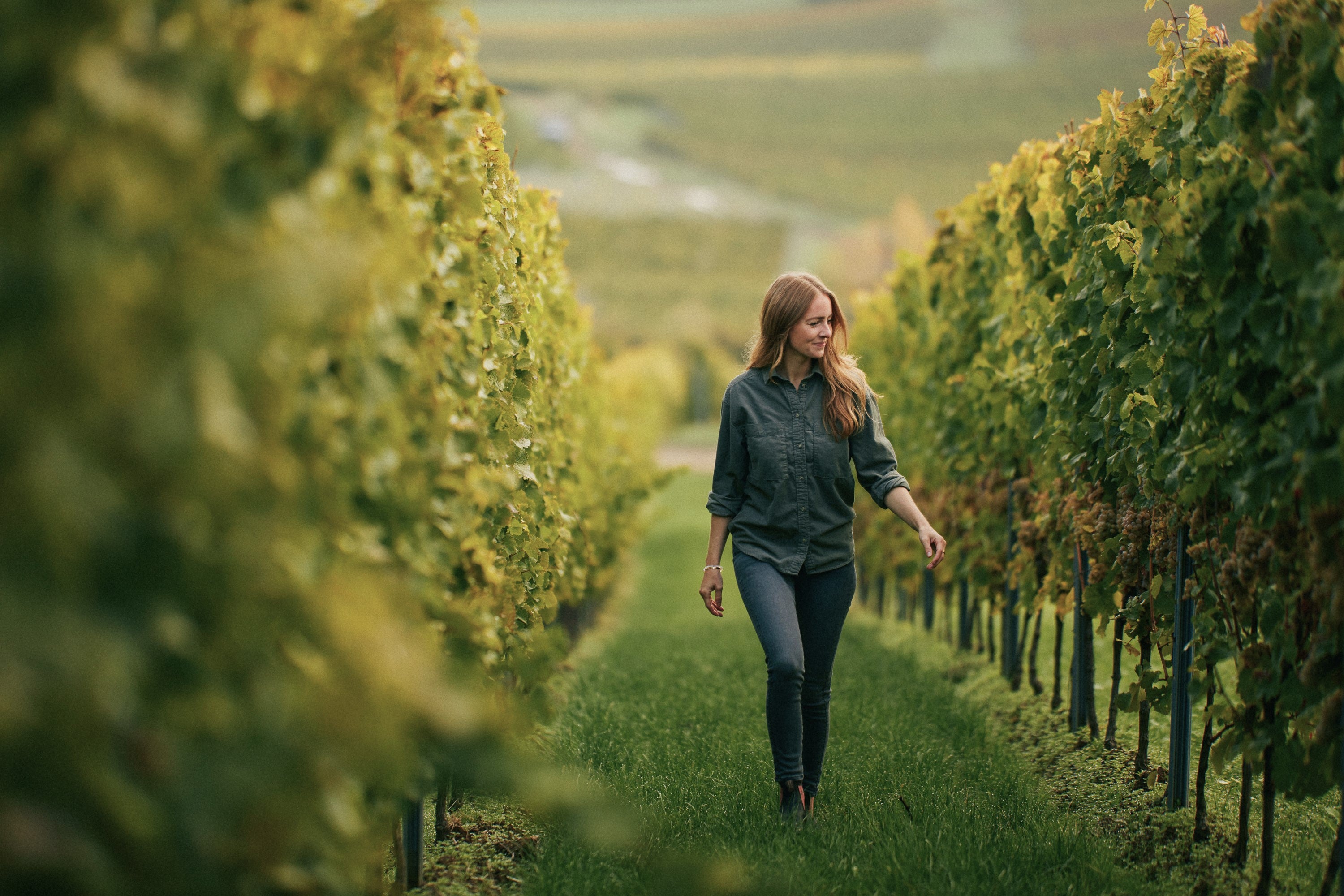 JUWEL Weine | Juliane Eller | Rheinhessen | Nachhaltigkeit | Weinberge