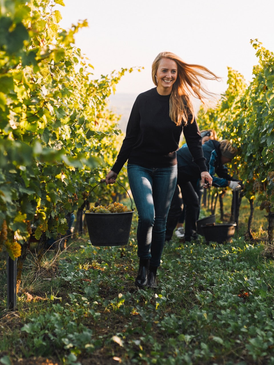 JUWEL Weine | Juliane Eller | Rheinhessen | Vinum | Weinberg