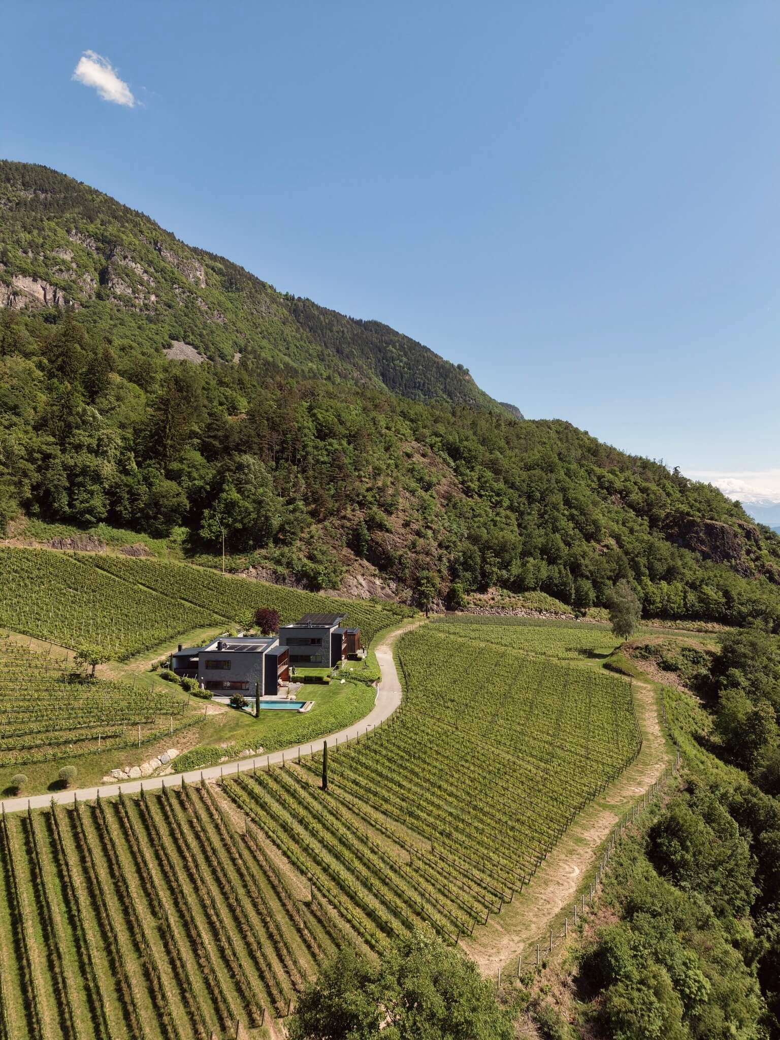 Blick auf das Romantik Hotel Oberwirt in , das zwischen grünen Weinbergen liegt. Berge im Hintergrund